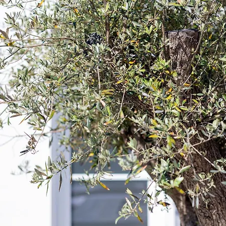 La Dionysienne Piscine Privee Villa